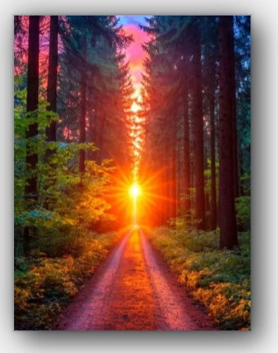 Reflections Canvas Prints