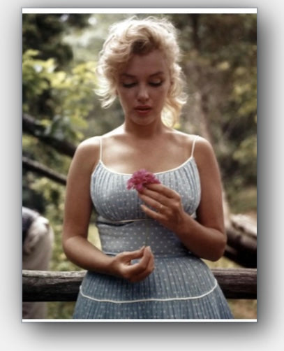 Marilyn in the Garden