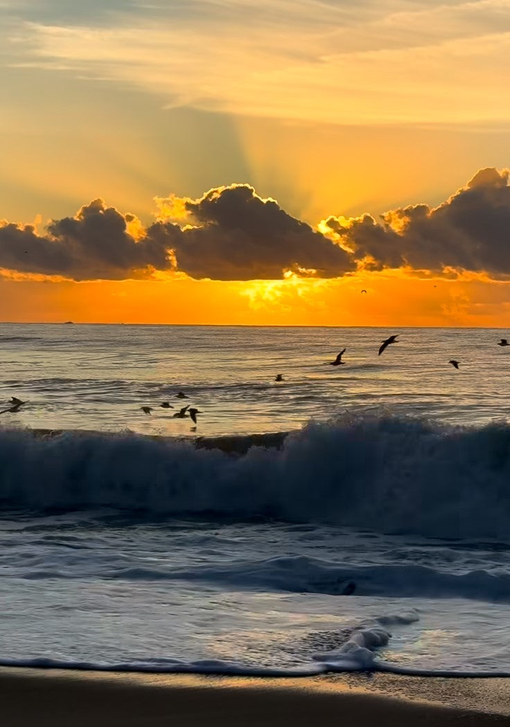 Ocean Sunset Canvas Prints